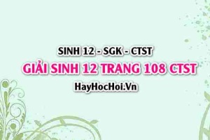 Giải Sinh 12 trang 108 Chân trời sáng tạo SGK